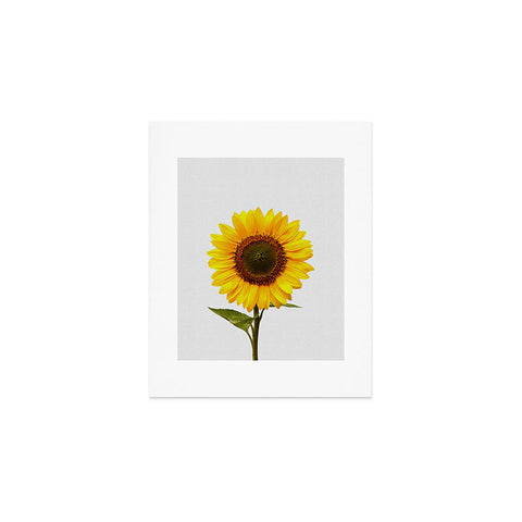 Orara Studio Sunflower Still Life Art Print