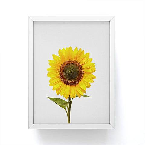 Orara Studio Sunflower Still Life Framed Mini Art Print