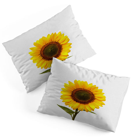 Orara Studio Sunflower Still Life Pillow Shams