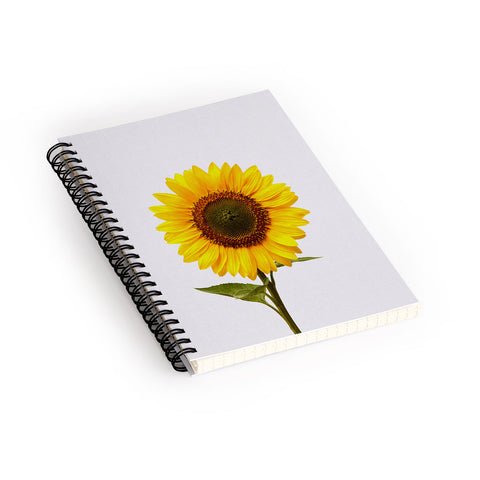 Orara Studio Sunflower Still Life Spiral Notebook