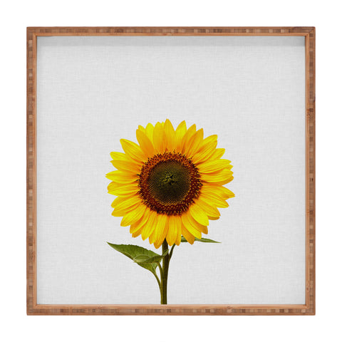 Orara Studio Sunflower Still Life Square Tray