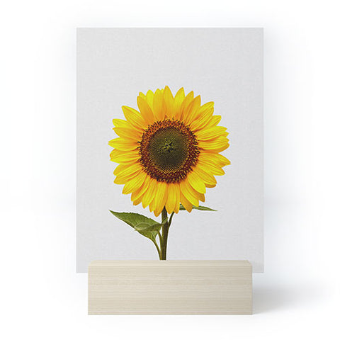 Orara Studio Sunflower Still Life Mini Art Print