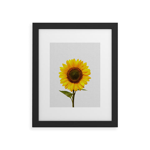 Orara Studio Sunflower Still Life Framed Art Print