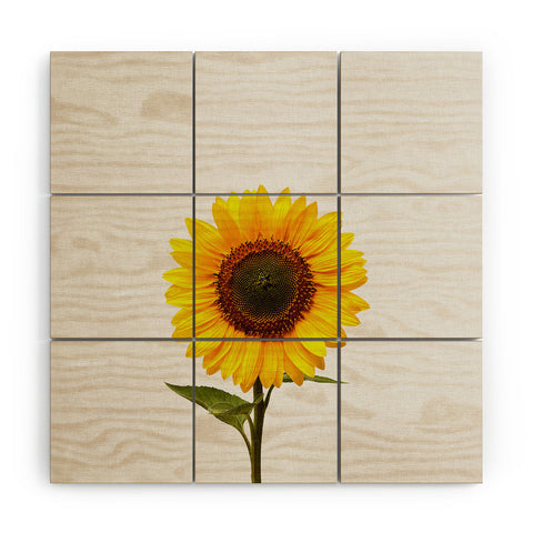 Orara Studio Sunflower Still Life Wood Wall Mural