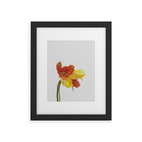 Orara Studio Tulip Still Life Framed Art Print