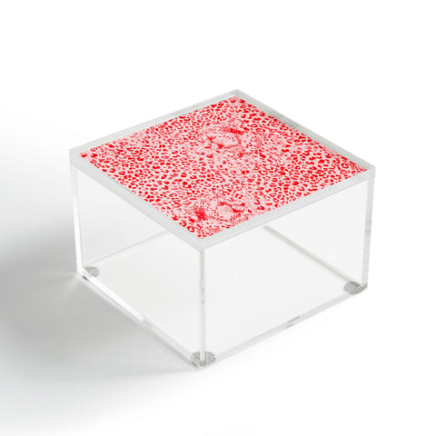 Pattern State Cheetah Sketch Glow Acrylic Box