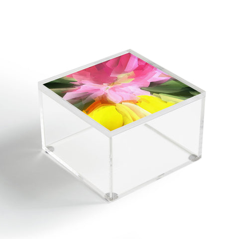 Paul Kimble Advance Acrylic Box
