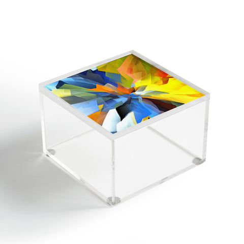 Paul Kimble Beauty In Decay Acrylic Box