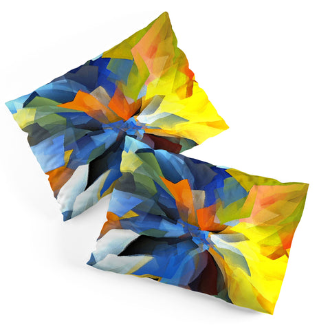 Paul Kimble Beauty In Decay Pillow Shams