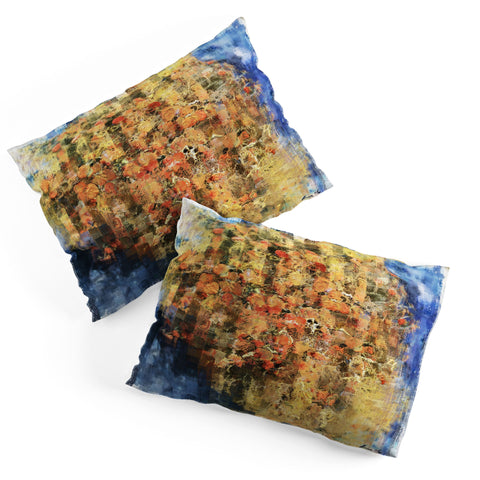 Paul Kimble Concentration Pillow Shams