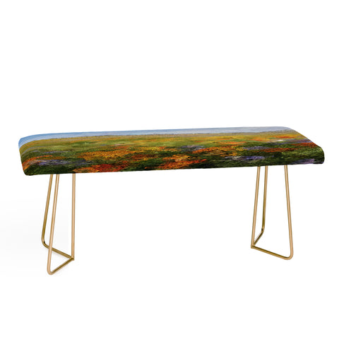 Paul Kimble Daydream Desert Bench