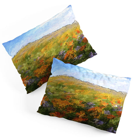 Paul Kimble Daydream Desert Pillow Shams