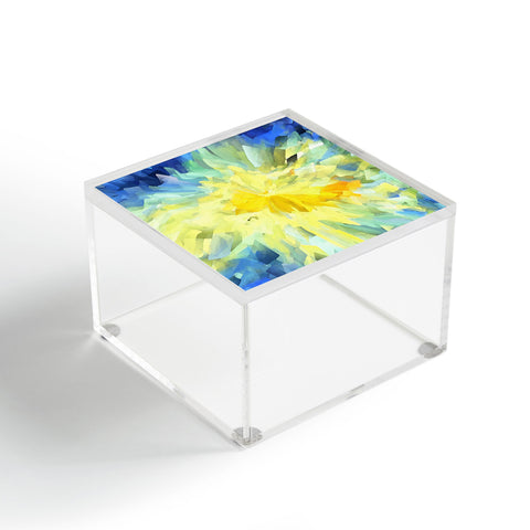 Paul Kimble Flourish Fable Acrylic Box
