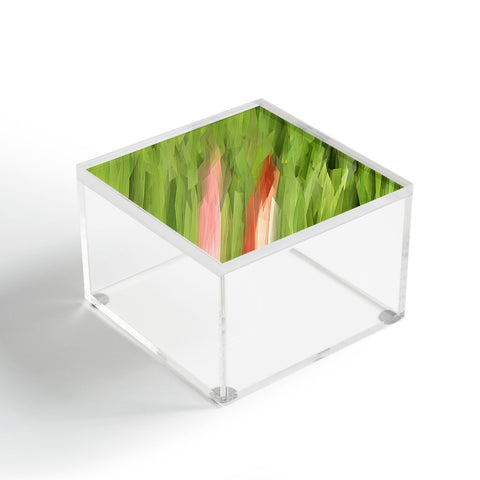 Paul Kimble Grass Acrylic Box