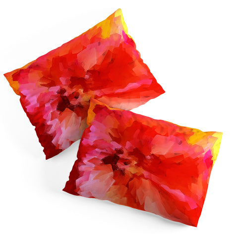 Paul Kimble Habitual Holidays Pillow Shams