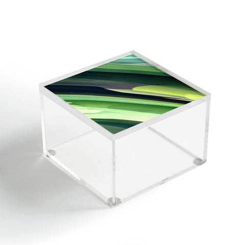 Paul Kimble Pine Trees Acrylic Box