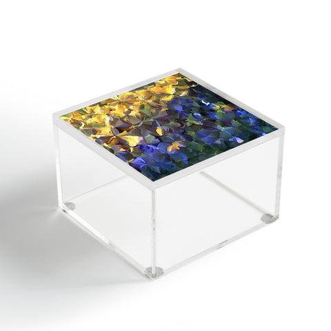Paul Kimble The Flowers Acrylic Box