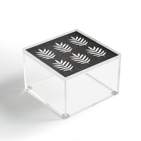Pauline Stanley Palm Pattern Black Cream Acrylic Box