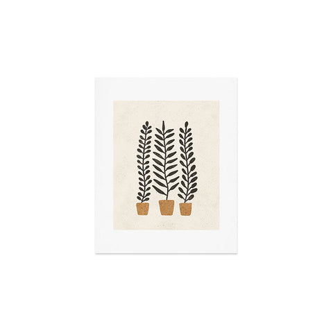 Pauline Stanley Potted Ferns Black Terracotta Art Print