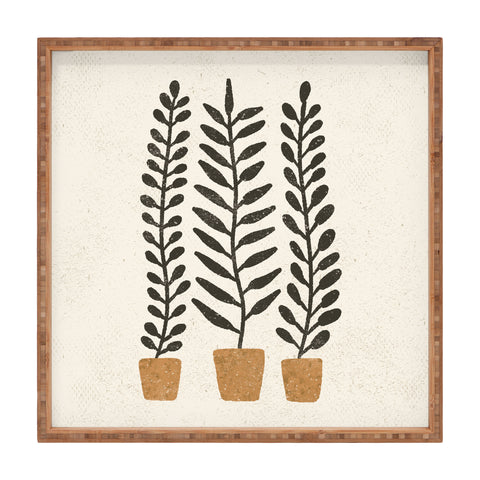 Pauline Stanley Potted Ferns Black Terracotta Square Tray