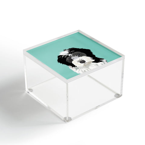 Petfriendly Bernedoodle pet portrait Acrylic Box