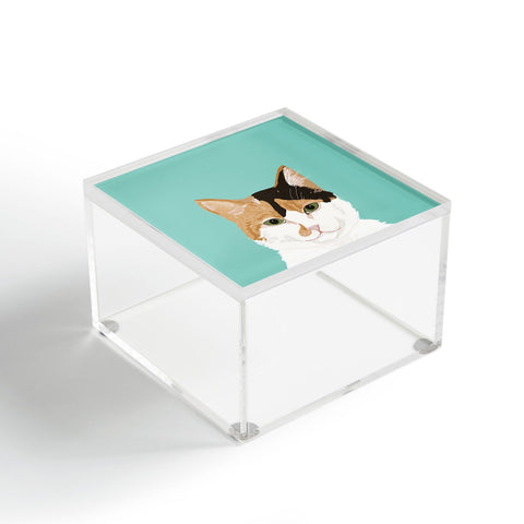 Petfriendly Calico Cat Cute cat black white Acrylic Box