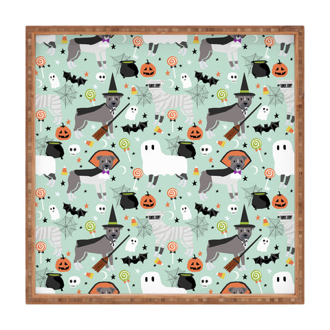 Petfriendly Pitbull halloween costumes Square Tray