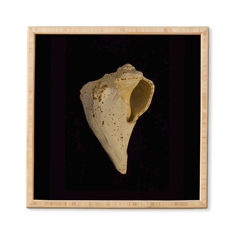 PI Photography and Designs States of Erosion 1 Framed Wall Art
