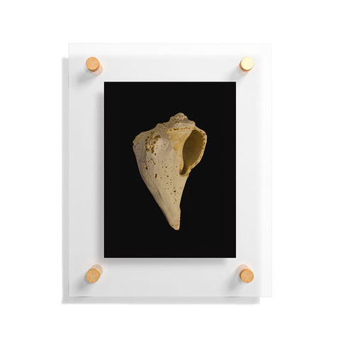 PI Photography and Designs States of Erosion 1 Floating Acrylic Print