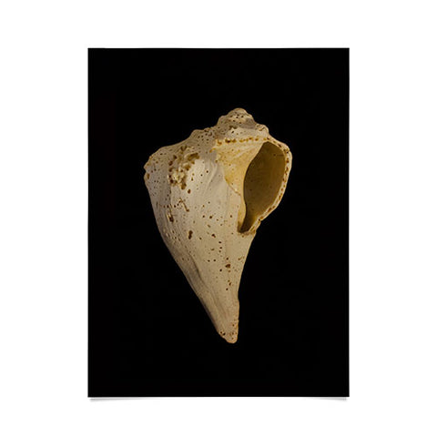 PI Photography and Designs States of Erosion 1 Poster