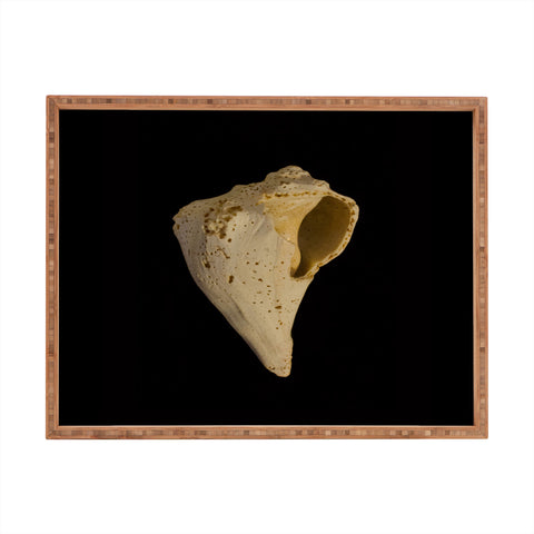 PI Photography and Designs States of Erosion 1 Rectangular Tray