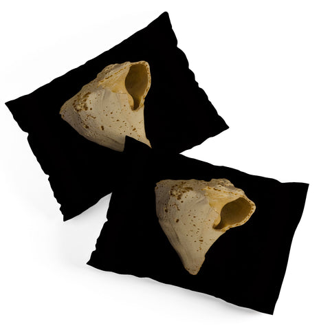 PI Photography and Designs States of Erosion 1 Pillow Shams