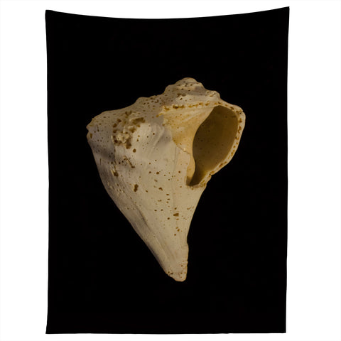 PI Photography and Designs States of Erosion 1 Tapestry