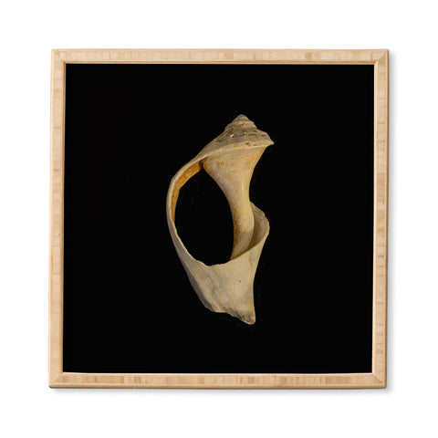 PI Photography and Designs States of Erosion 2 Framed Wall Art