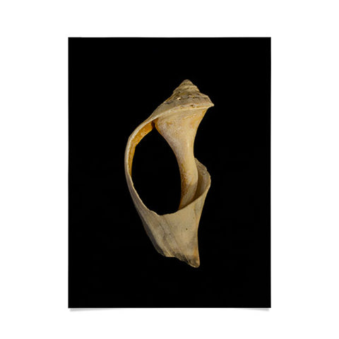 PI Photography and Designs States of Erosion 2 Poster