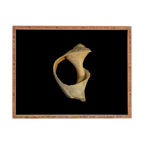 PI Photography and Designs States of Erosion 2 Rectangular Tray