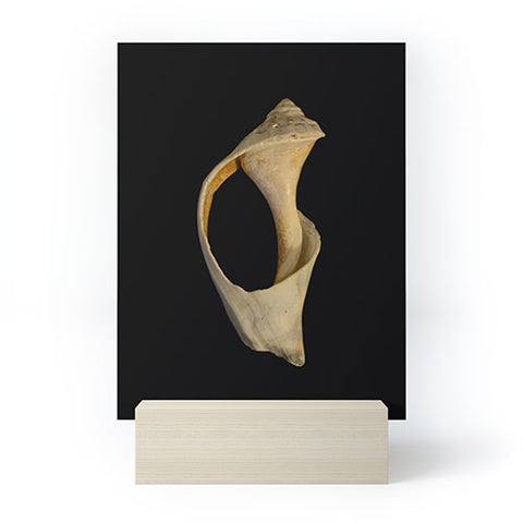 PI Photography and Designs States of Erosion 2 Mini Art Print