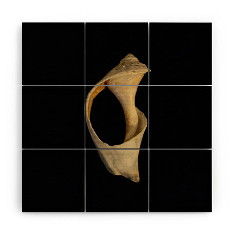 PI Photography and Designs States of Erosion 2 Wood Wall Mural