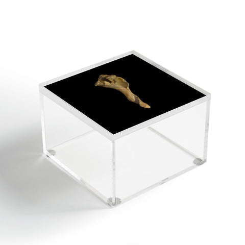 PI Photography and Designs States of Erosion 3 Acrylic Box