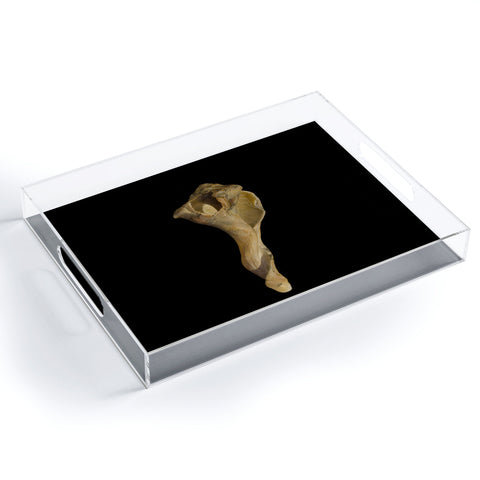 PI Photography and Designs States of Erosion 3 Acrylic Tray