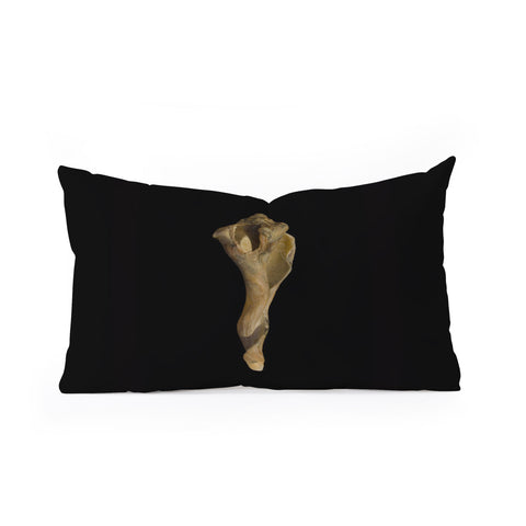 PI Photography and Designs States of Erosion 3 Oblong Throw Pillow