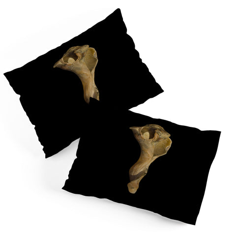 PI Photography and Designs States of Erosion 3 Pillow Shams