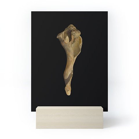 PI Photography and Designs States of Erosion 3 Mini Art Print