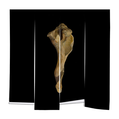 PI Photography and Designs States of Erosion 3 Wall Mural