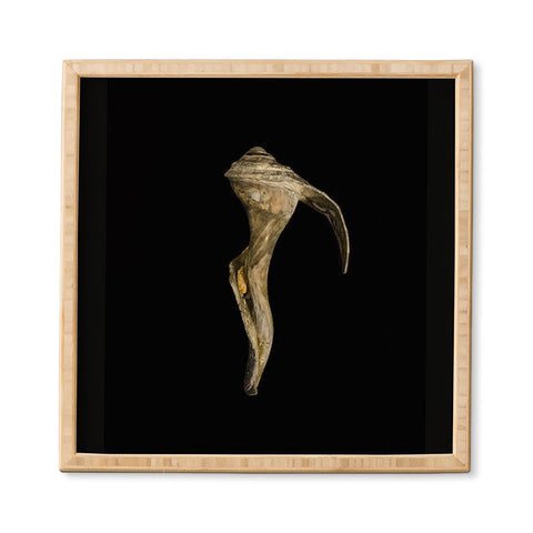 PI Photography and Designs States of Erosion 4 Framed Wall Art