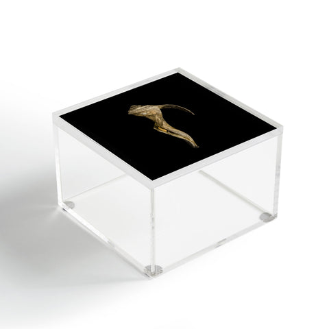 PI Photography and Designs States of Erosion 4 Acrylic Box