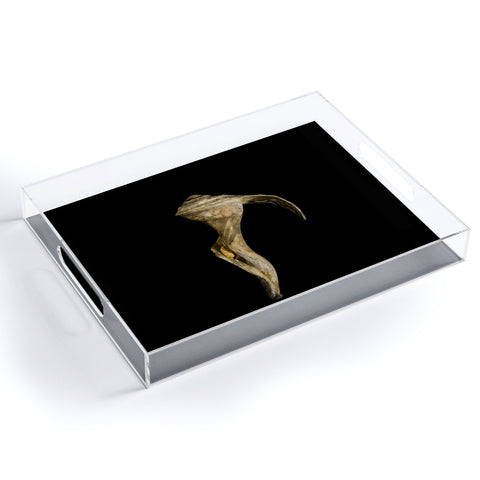 PI Photography and Designs States of Erosion 4 Acrylic Tray