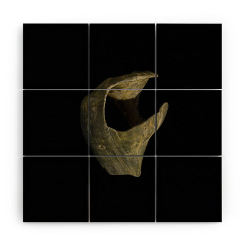 PI Photography and Designs States of Erosion 5 Wood Wall Mural