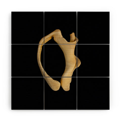 PI Photography and Designs States of Erosion 6 Wood Wall Mural