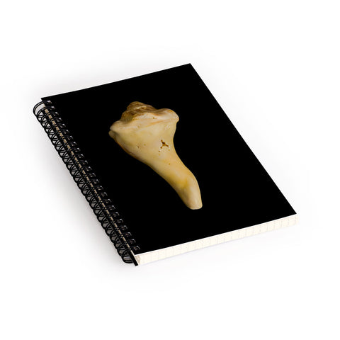 PI Photography and Designs States of Erosion 8 Spiral Notebook